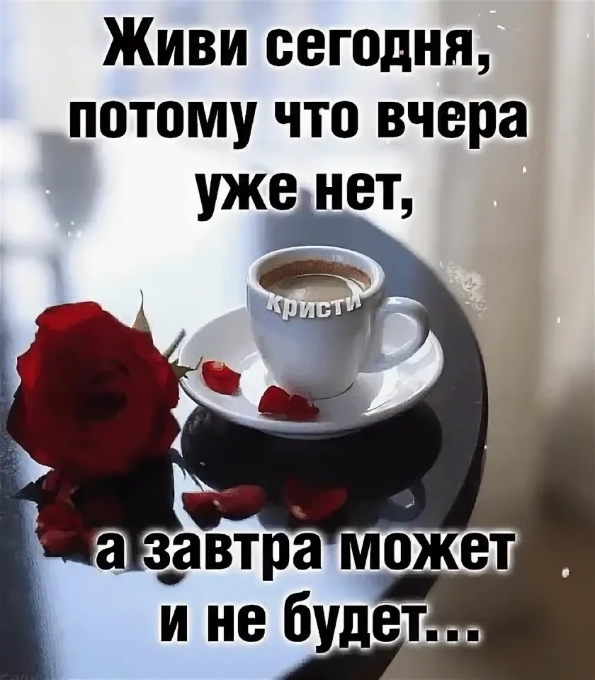 Живи сегодня